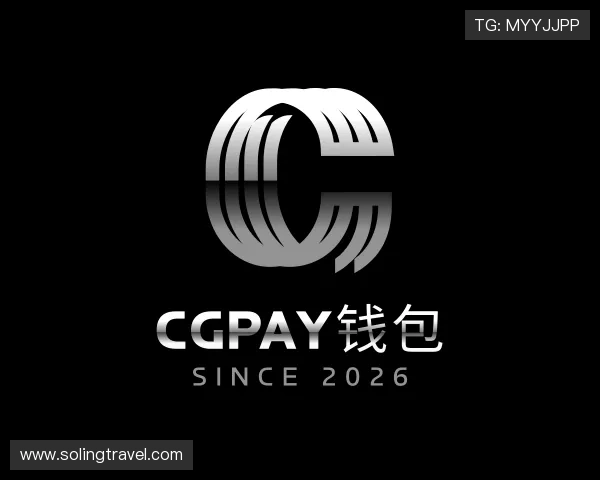 介绍CGPay